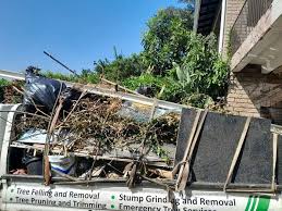 Shed Removal in Coppell, TX